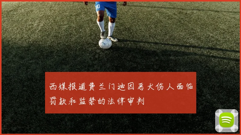 西媒报道费兰门迪因恶犬伤人面临罚款和监禁的法律审判