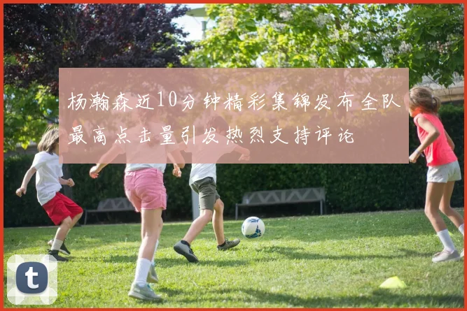 杨瀚森近10分钟精彩集锦发布全队最高点击量引发热烈支持评论
